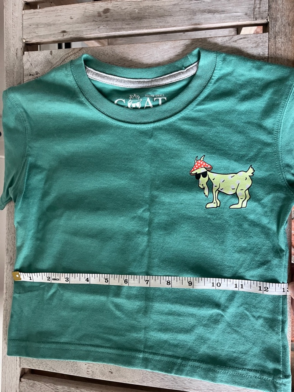 GOAT USA Kids Graphic Tee Mushroom Goat Green Youth Small YS NWT - Picture 11 of 11